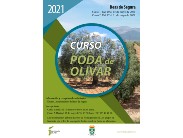 FORMACIÓN - Curso de poda de olivar